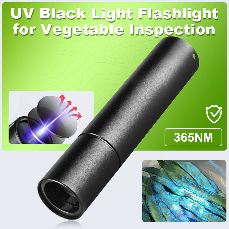 Vedica Professional Grade 365NM UV Detector for Vegetable Inspection